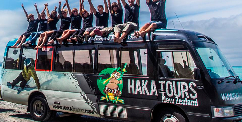 Catherine Beard traces the origins of Haka Tours and discovers a tourism business forged on digital marketing.