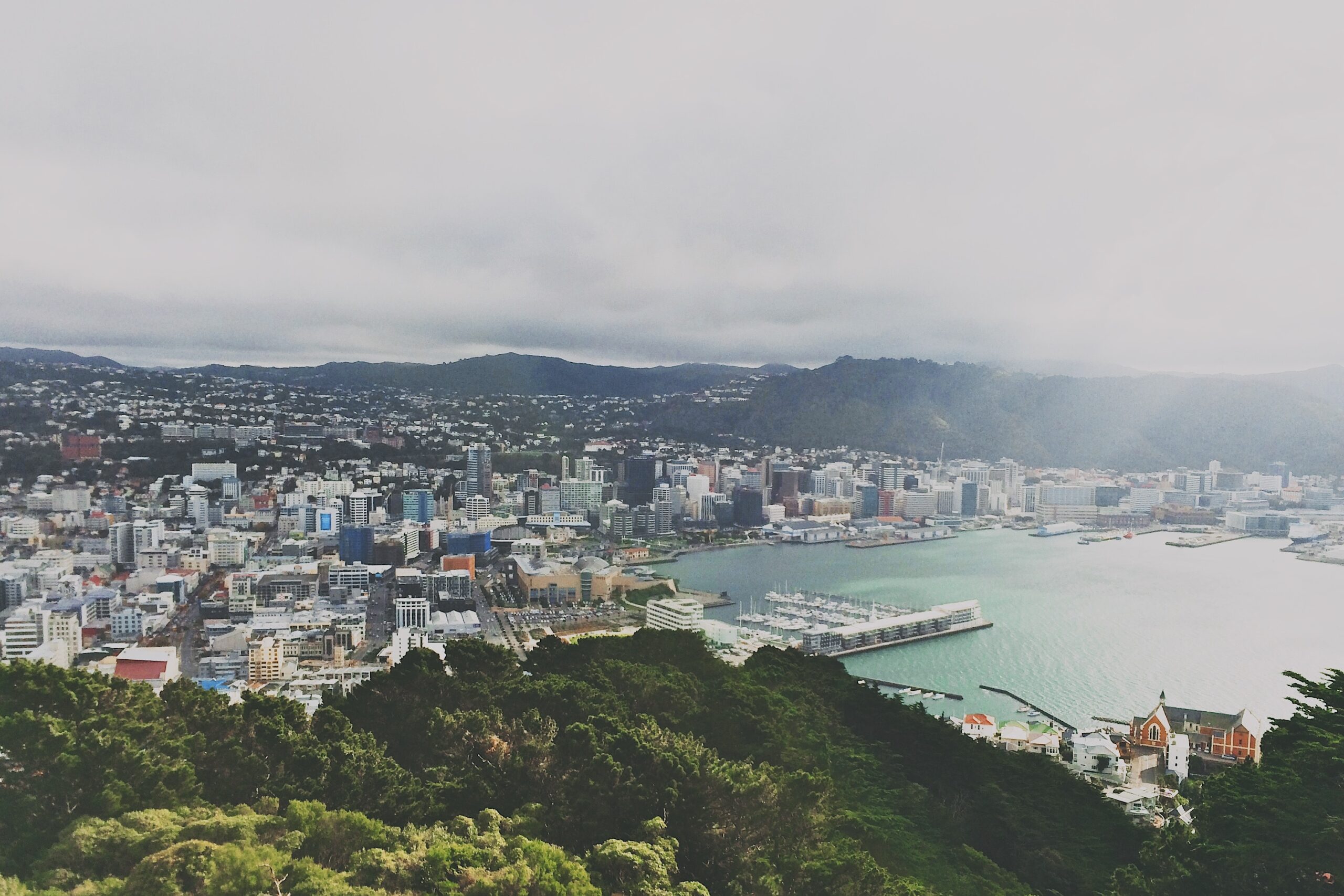 Wellington landscape