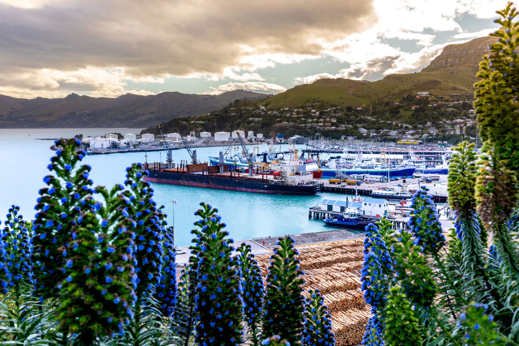 Lyttleton Port sml