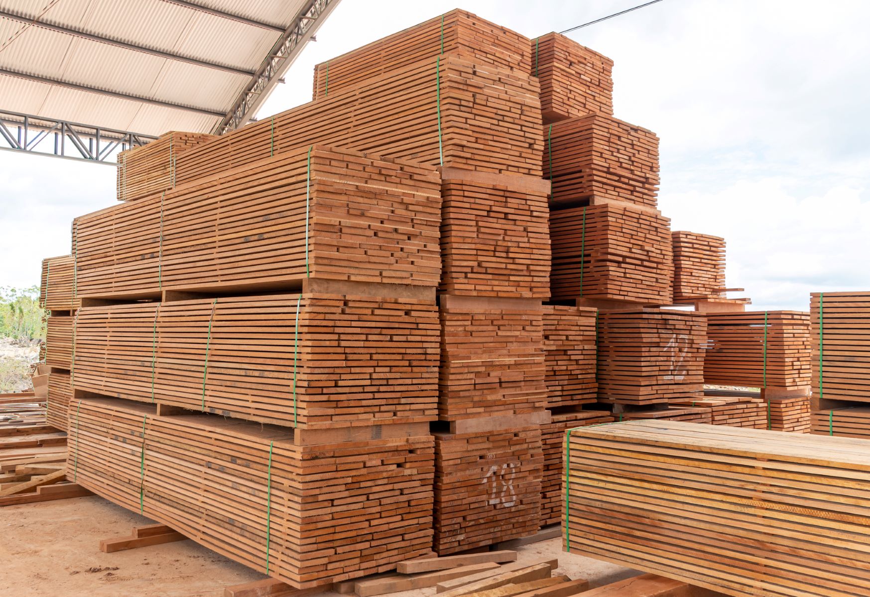 Timber exports sml