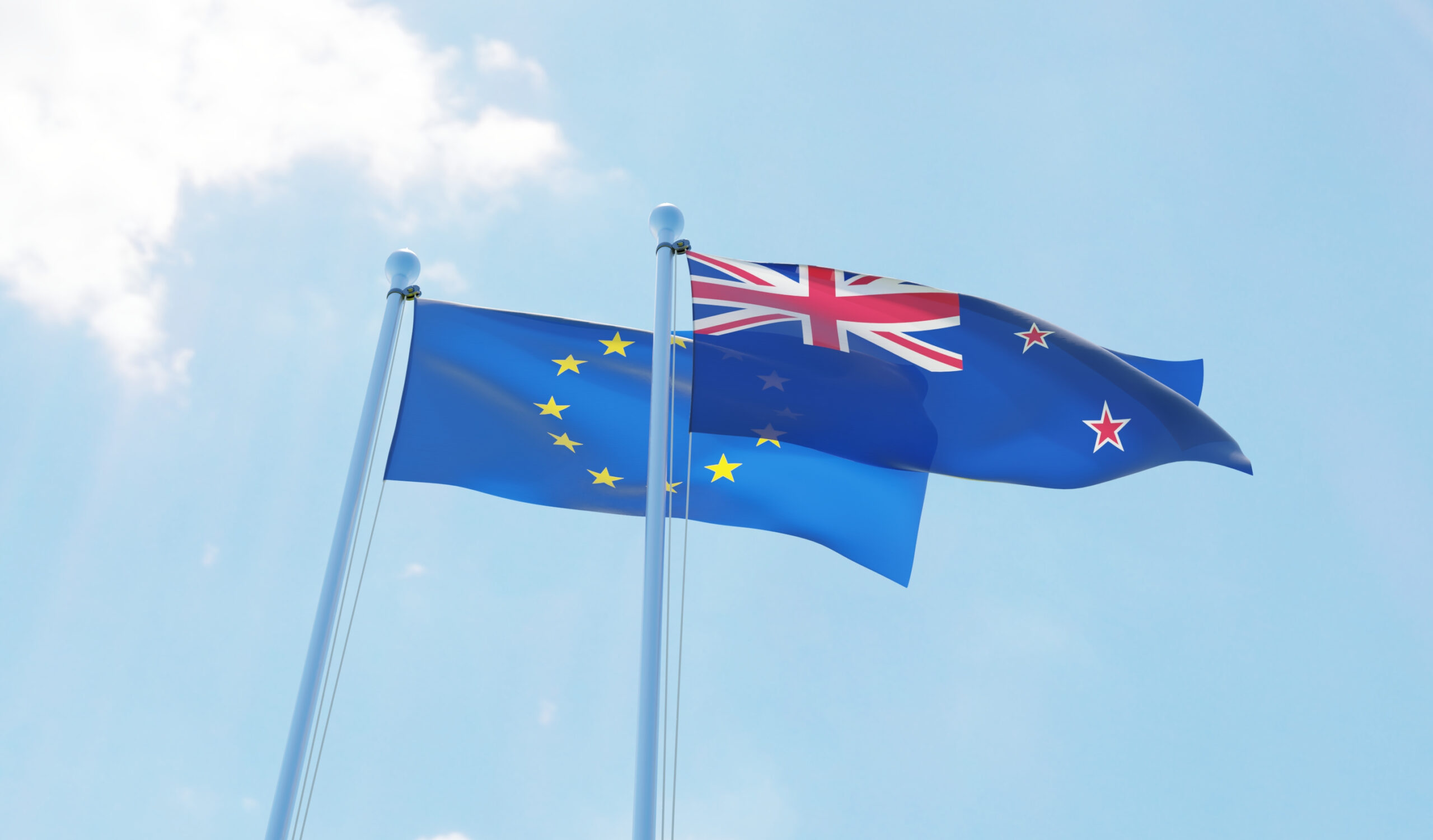 NZ EU flags