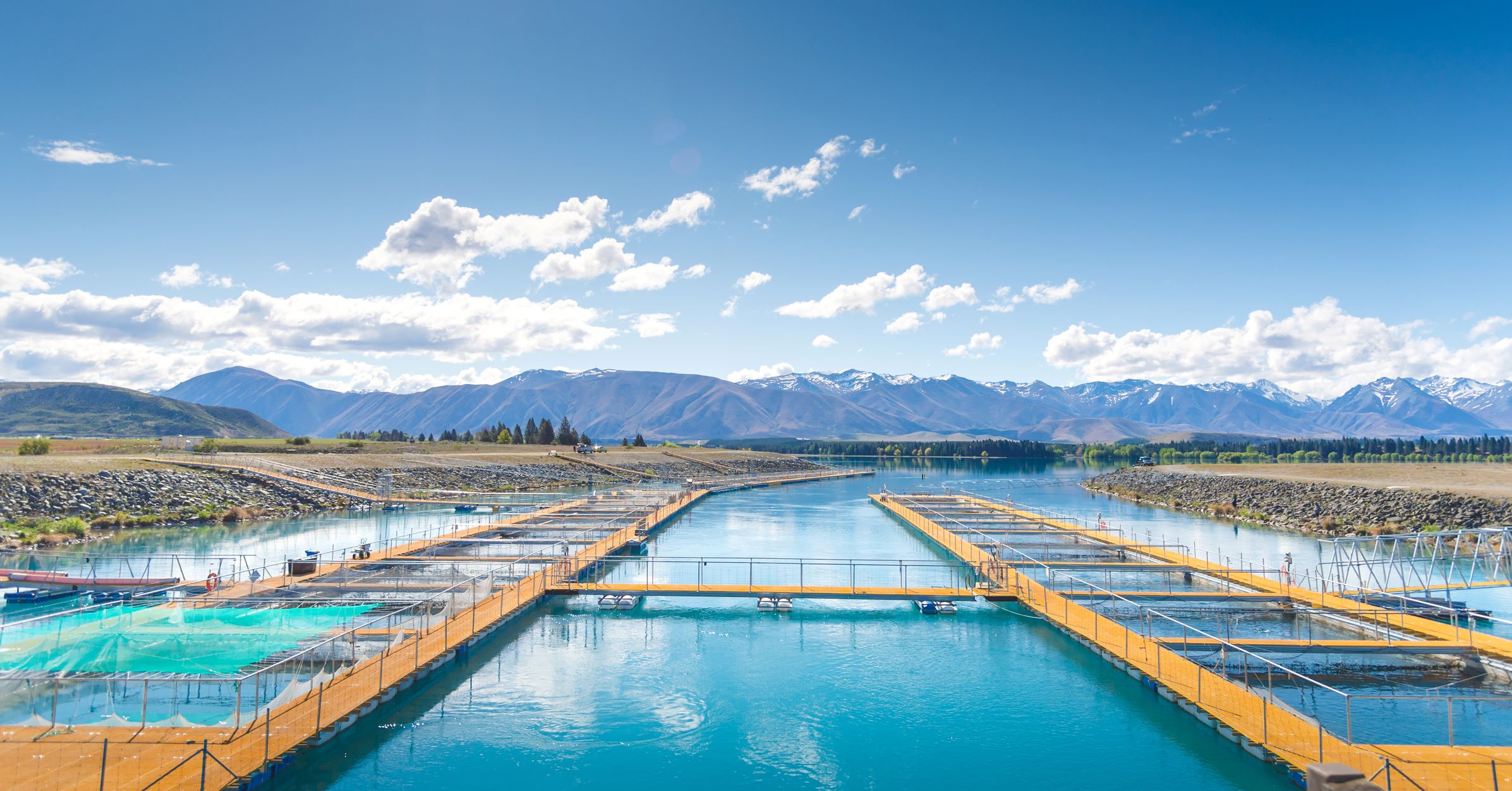 Aquaculture NZ